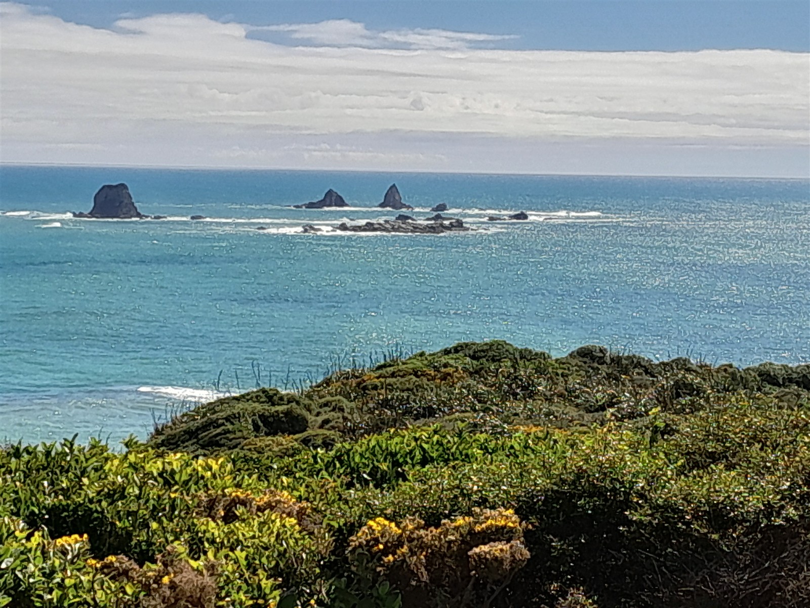 West Coast ~ Tuesday, 10 March